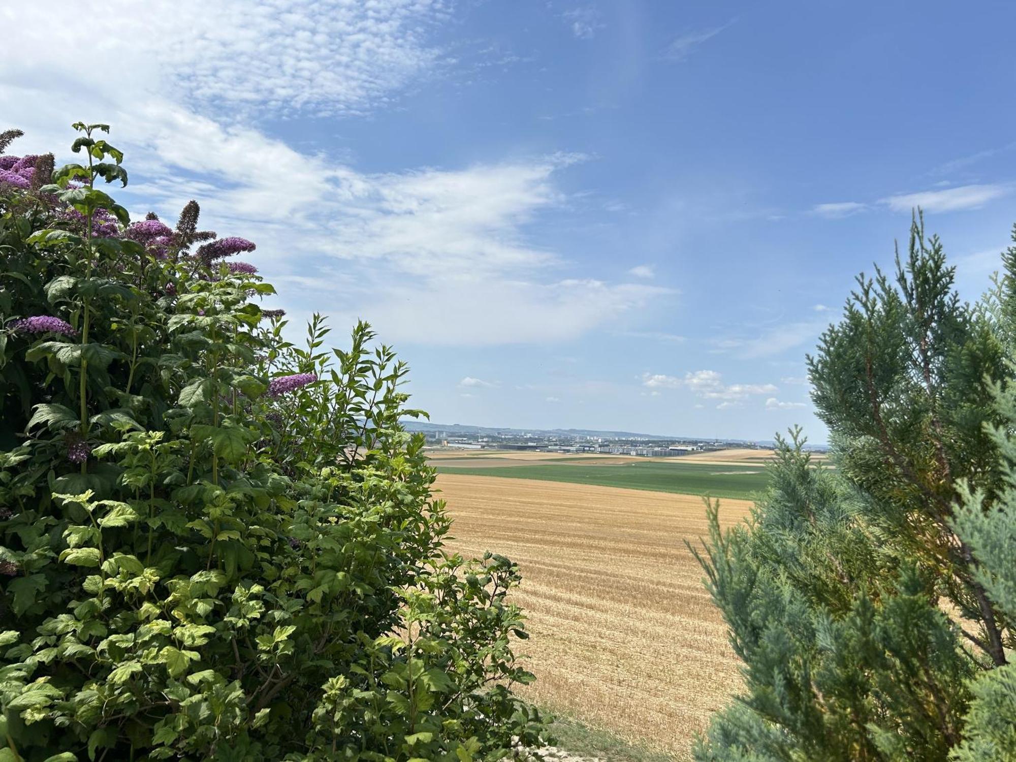 הוילה Cernay-les-Reims Happy מראה חיצוני תמונה